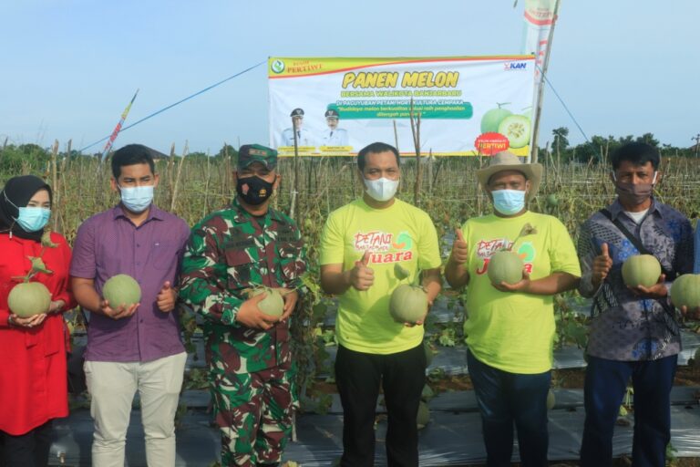 MELON BANJARBARU JADI UNGGULAN