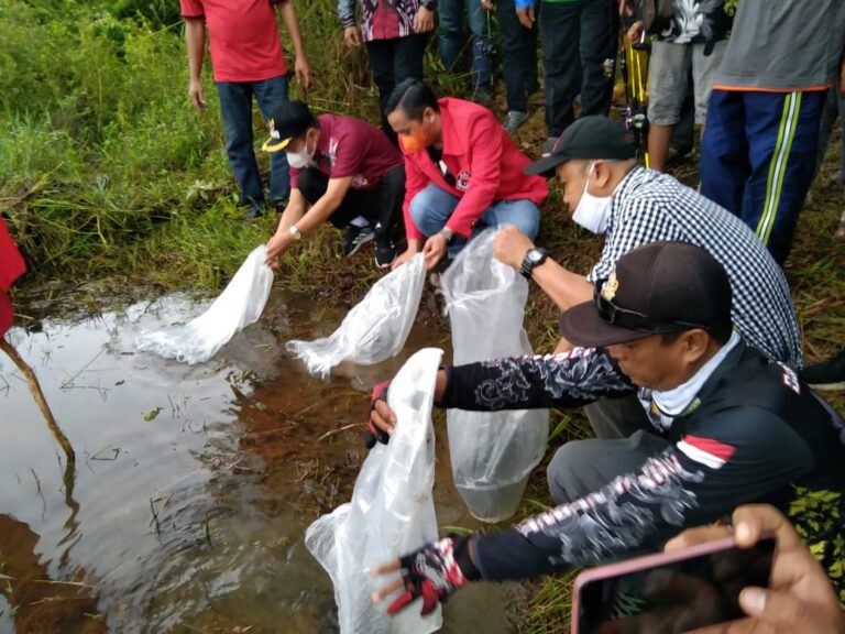 LOMBA MANCING TUTUP PERINGATAN BULAN BUNG KARNO DI BANJARBARU