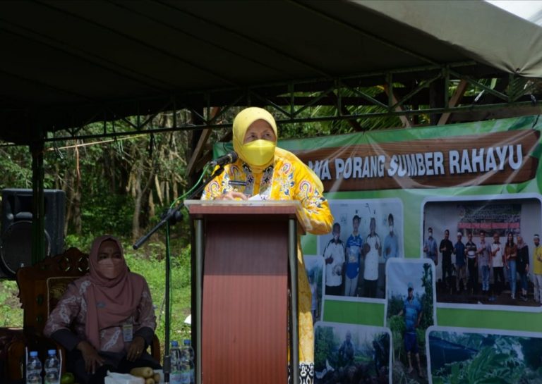 BUPATI TANAM PORANG BERSAMA PETANI