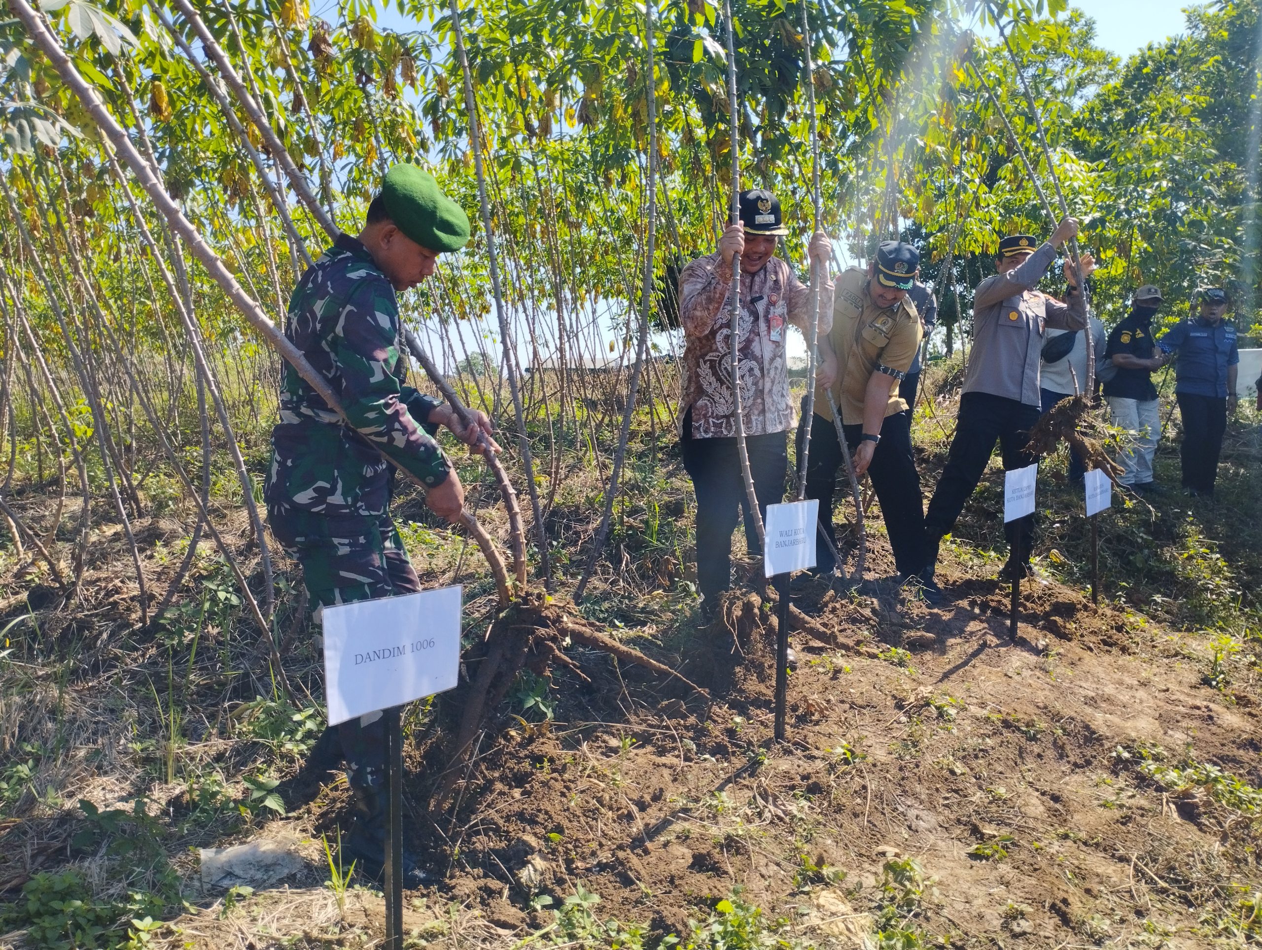 PANEN RAYA SINGKONG MENTEGA HASIL RT MANDIRI, WALI KOTA BANJARBARU: TEKAN ANGKA INFLASI