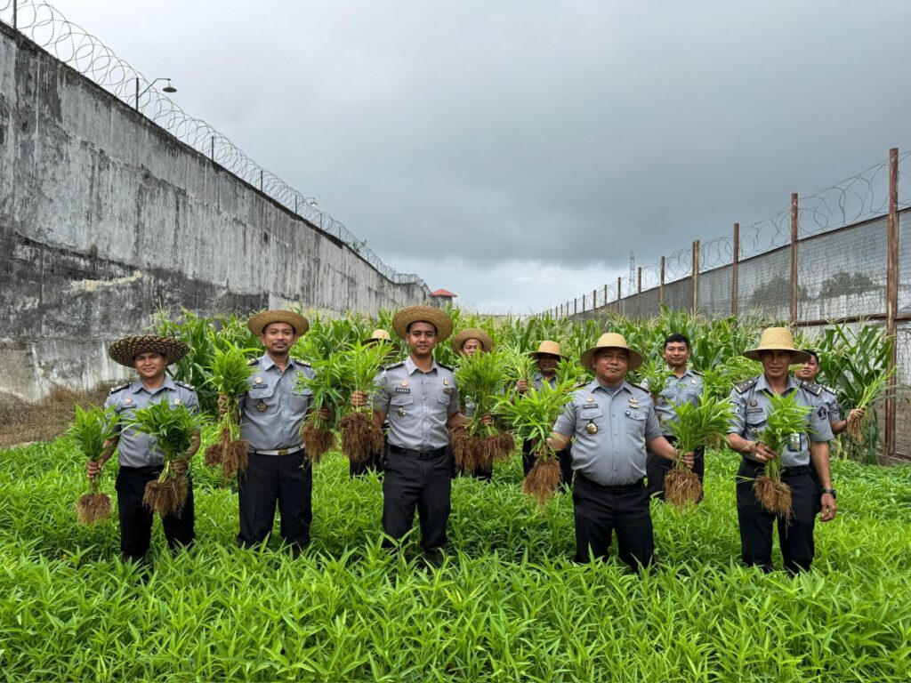 IMG-20241113-WA0047-1024x768 LAPAS BANJARBARU SULAP LAHAN TIDUR 0,2 HEKTARE JADI LAHAN KETAHANAN PANGAN