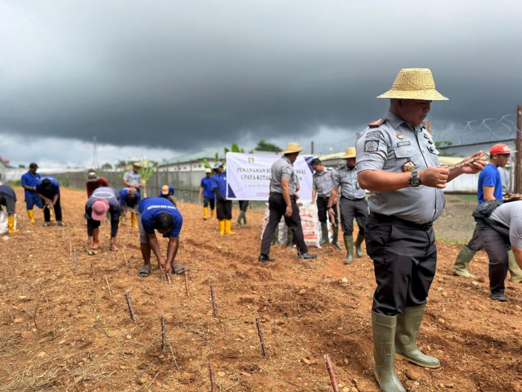 IMG-20241113-WA0054-1024x768 LAPAS BANJARBARU SULAP LAHAN TIDUR 0,2 HEKTARE JADI LAHAN KETAHANAN PANGAN