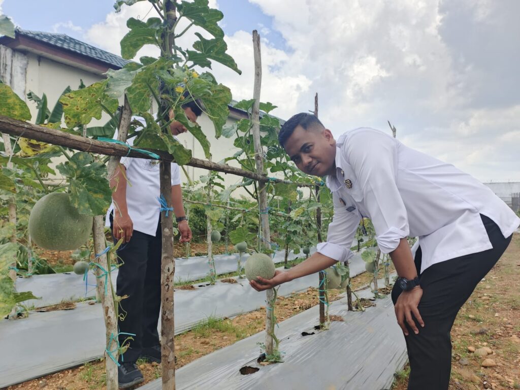 IMG-20241113-WA0101-1024x768 LAPAS BANJARBARU SULAP LAHAN TIDUR 0,2 HEKTARE JADI LAHAN KETAHANAN PANGAN