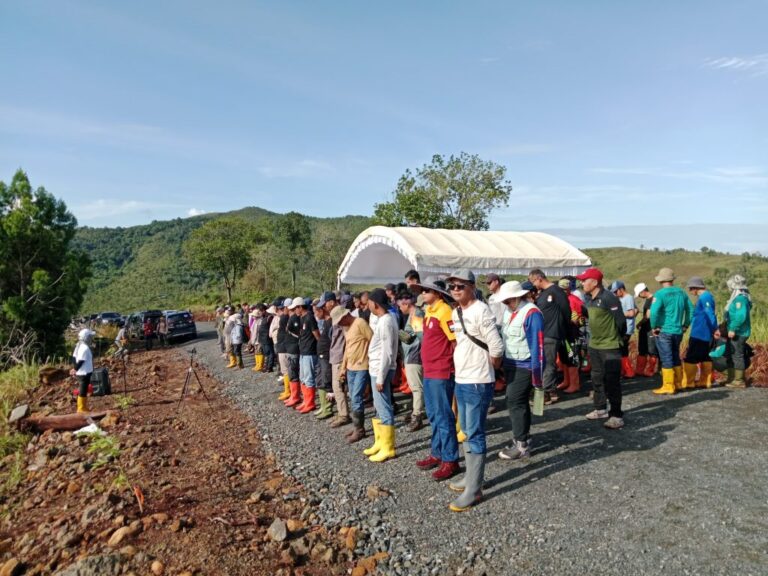 DISHUT KALSEL, DUA RIBU BIBIT EUCALYPTUS DITANAM DI PAMATON