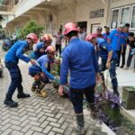 ULAR COBRA DI SMK DARUSSALAM BERHASIL DIAMANKAN