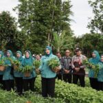 PANEN SAYUR HINGGA KOLABORASI PEMKAB BANJAR SUKSESKAN PROGRAM PRESIDEN