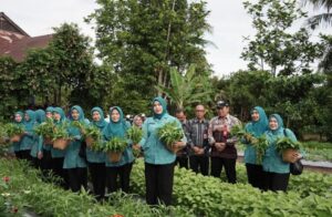 PANEN SAYUR HINGGA KOLABORASI PEMKAB BANJAR SUKSESKAN PROGRAM PRESIDEN gO3EbDtl0rlEOsLvrFiK2y4jeV0phXyeRx1u00tK