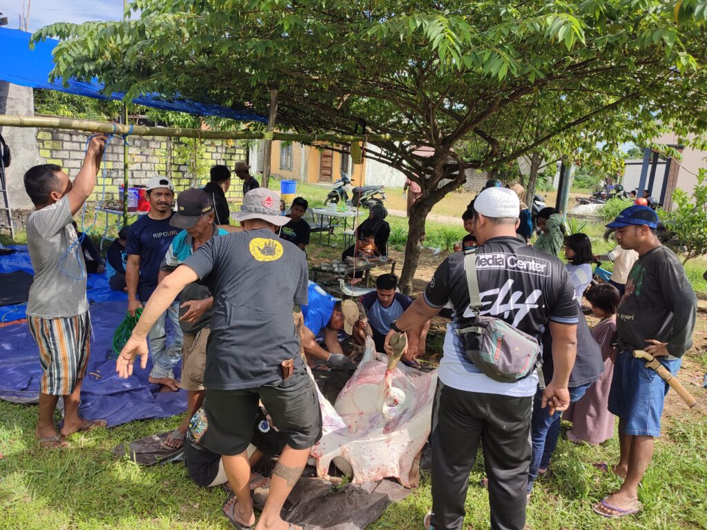 Jurnalis Banjarbaru Bagikan Daging Kurban dari Hj. Lisa Halaby pada Idul Adha 1446 H