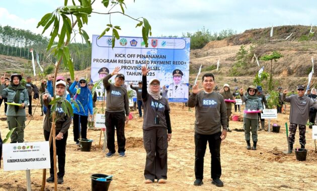 KALSEL MULAI TANAM POHON DARI DANA INTERNASIONAL REDD+, TARGETKAN LAHAN TIDAK PRODUKTIF JADI BERNILAI EKONOMI