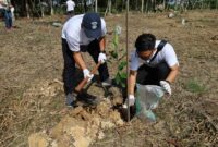 IMG 20251201 WA0022