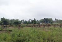 IMG 20260210 WA0026