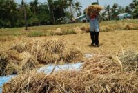 photo_2026-02-23-14.38.44 photo 2026 02 23 14.38.44