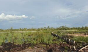 DIJANJIKAN LANJUT PEMBANGUNAN MARET 2026, PROYEK RS TIPE D GAMBUT JUSTRU MATI SURI 1 1001316225