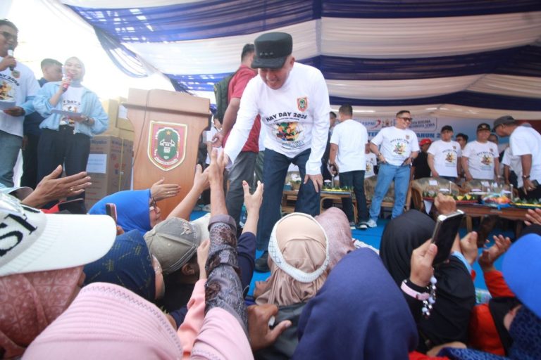 IMG 0128 768x512 2