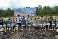 IMG 0829 715x400 1
