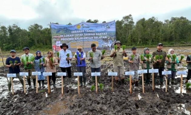 IMG 0829 715x400 1