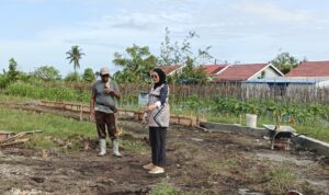 DI TENGAH PANEN RAYA DAUN BAWANG, SISKA MONALISA SOROTI PUPUK SUBSIDI SERTA JALAN USAHA TANI 2 1001368830