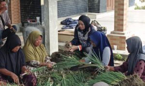 DI TENGAH PANEN RAYA DAUN BAWANG, SISKA MONALISA SOROTI PUPUK SUBSIDI SERTA JALAN USAHA TANI 1 1001369358