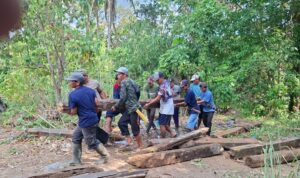 WARGA BELIMBING BARU KOMPAK BANGUN JEMBATAN PERTANIAN SECARA GOTONG ROYONG, PERMUDAH AKSES PETANI 1 1001453346
