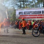 IMG 3124 715x400 1
