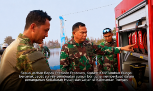 file 000000005cf081fa92af8339b26f5374